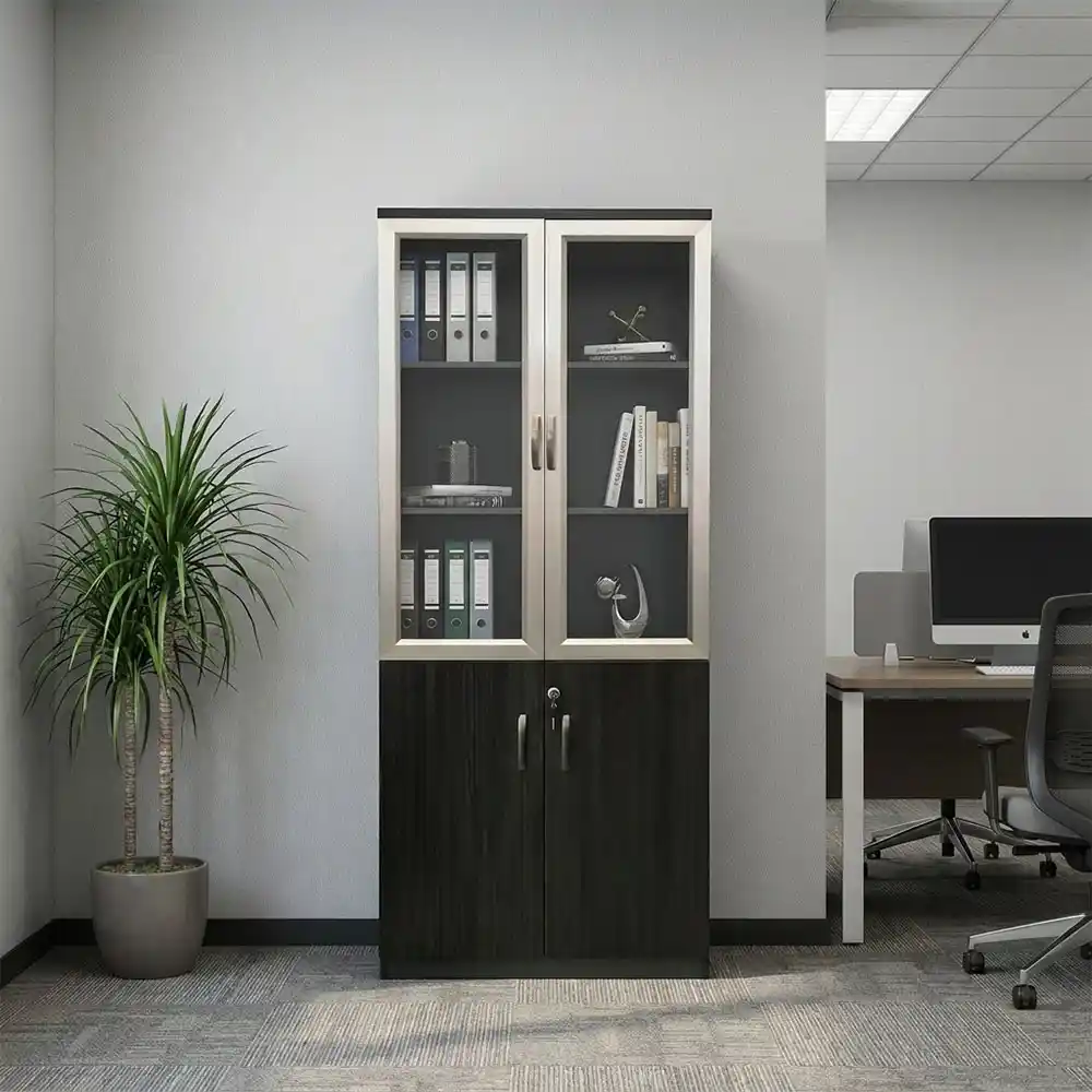 Black Contrast Glass Office Cabinet